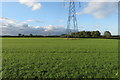 Powerlines over the pasture