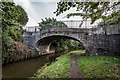 Forge Bridge (no.155) Wheelock , Trent & Mersey Canal