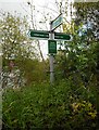 Finger post, Barton Loch Path