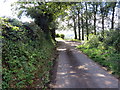 Heol fach ger Torcoed Fawr / Minor road near Torcoed Fawr