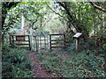 Llwybr coedog yng Nghrwbin / Wooded path in Crwbin