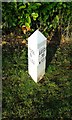 Leeds and Liverpool Canal Milestone