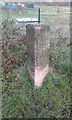 Leeds and Liverpool Canal Milestone