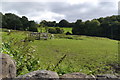 Horses in a field by Leeds Road, Rawdon, Leeds