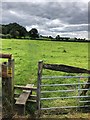 Stile and Footpath near Lowerhouse