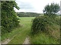 Frome valley, near Cruxton