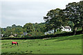 Cheshire pasture north-west of Bollington