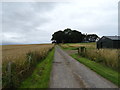 Track to Kinbog Steading