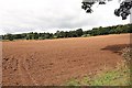 Tilled field off Leazes Lane