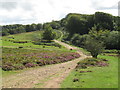 Track near Crowcombe