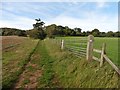 Bridleway to Truckle Wood