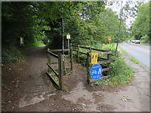 ST4255 : Strawberry Line path near Axbridge by Malc McDonald