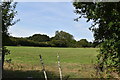 Pasture south of Ulcombe