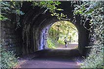 ST7660 : Midford : Two Tunnels Greenway by Lewis Clarke