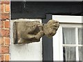 44 Westgate, Southwell ? gargoyle