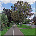 Barton Road: cycle path and stinkpipe