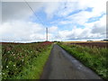 Minor road towards Nether Leask