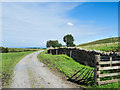 Road looking back towards Tortie