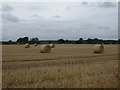 Stubble field with bales