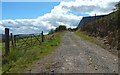 Farm track at Upper Dalquhurn