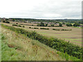 Farmland on the slope of Castle Hill