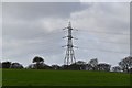 Pylon in a field