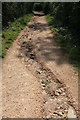 Gully on footpath by Eastcliff House