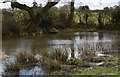 Pond, Lower Green