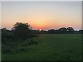 View from footpath skirting Pennsylvania Wood