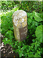 Milestone, Newtown nr Stonehouse