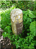SO7905 : Milestone, Newtown nr Stonehouse by Mr Red