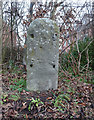 Old Milestone, A419, Stonehouse