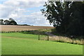 Fields and track near Knighton Wood Farm