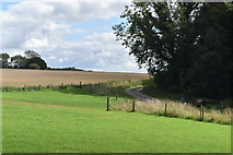 SU0622 : Fields and track near Knighton Wood Farm by David Martin
