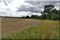 TL9777 : Barningham: Harvested field by Michael Garlick