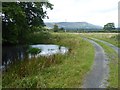 Driveway to Wainherbert Farm