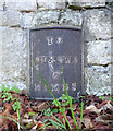 Old Milestone, Spring Hill