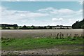 TL8769 : Timworth Green: Harvested field used for free range quail by Michael Garlick