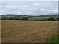 SE1687 : Stubble field near Danby Farm by JThomas
