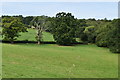 View north west from Moorhouse Lane