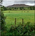 View to Conic Hill