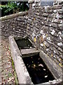 Undrinkable contents of an old water trough near Llanarth, Monmouthshire