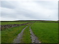 Farm track near Moorhen Farm