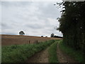 TF3574 : Track to Clovenhill Farm by Jonathan Thacker