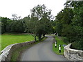 The road from Coverham Bridge