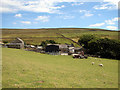 Cefnfeusydd Farm