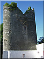 O0399 : Castles of Leinster: Milltown, Louth by Garry Dickinson