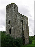 N9563 : Castles of Leinster: Monktown, Meath (2) by Garry Dickinson
