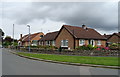 Bungalows on  Westholme Road, Masham