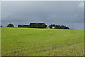 Farmland towards Watlass Moor House Farm